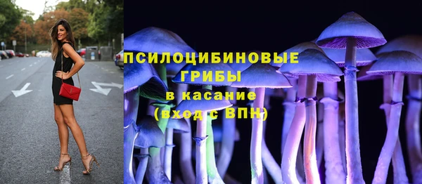 PSILOCYBIN Волосово